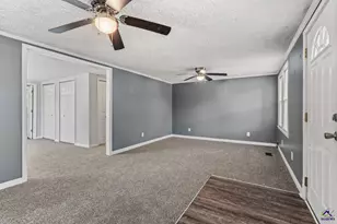 3668 Myers St, Dry Branch, GA 31020 - Photo 10