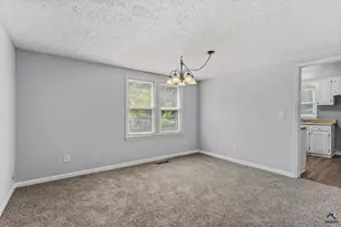 3668 Myers St, Dry Branch, GA 31020 - Photo 14