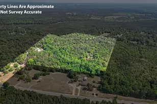 3875 Ga Hwy 128, Roberta, GA 31078 - Photo 56