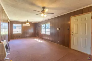 347 Peavy Rd, Unadilla, GA 31091 - Photo 6
