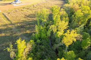 1065 Wimberly Rd, Elko, GA 31036 - Photo 62