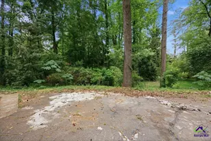 1320 Briarcliff Rd, Macon, GA 31211 - Photo 30