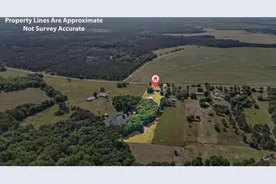 639 Grovania Road, Hawkinsville, GA 31036 - Photo 48