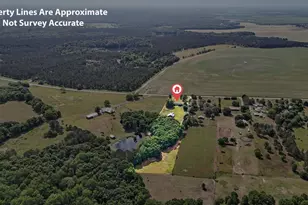 639 Grovania Rd, Hawkinsville, GA 31036 - Photo 48