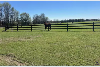 1670 W White Road, Byron, GA 31008 - Photo 2