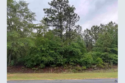 J W Miller Road, Reynolds, GA 31076 - Photo 4
