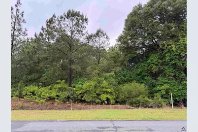 J W Miller Road, Reynolds, GA 31076 - Photo 2