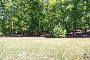 103 N Knotty Ct, Forsyth, GA 31029 - Photo 34