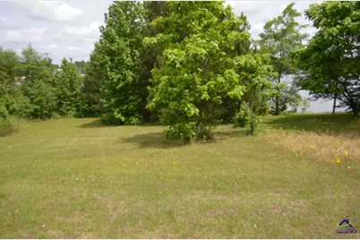 103 S Lakeview Drive, Ivey, GA 31031 - Photo 16