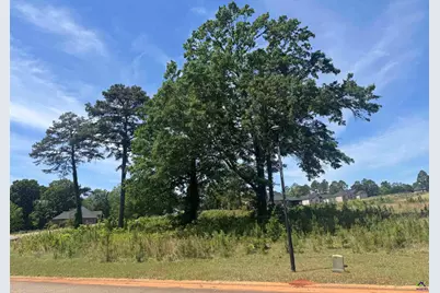 Lot 20 Camden Way, Hawkinsville, GA 31063 - Photo 8