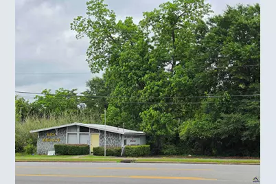44 341 Bypass, Hawkinsville, GA 31036 - Photo 6