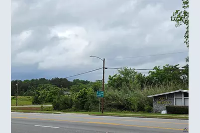 44 341 Bypass, Hawkinsville, GA 31036 - Photo 2