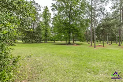 0 Hwy 49 Ga, Fort Valley, GA 31030 - Photo 2