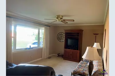 66 Lakeview Drive, Hawkinsville, GA 31036 - Photo 6