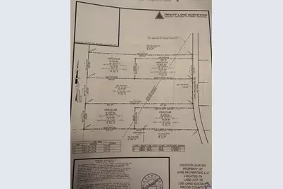 Parcel 6A Carl Rodgers Rd., Reynolds, GA 31070 - Photo 1