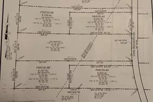 Parcel 6B Carl Rodgers Rd, Reynolds, GA 31070 - Photo 1