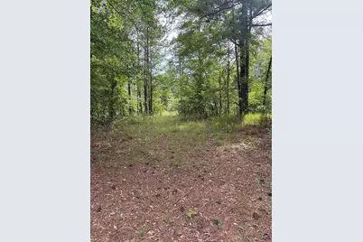 Us Hwy 341 N, Musella, GA 31066 - Photo 4