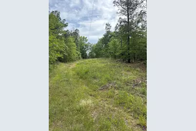 Us Hwy 341 N, Musella, GA 31066 - Photo 2