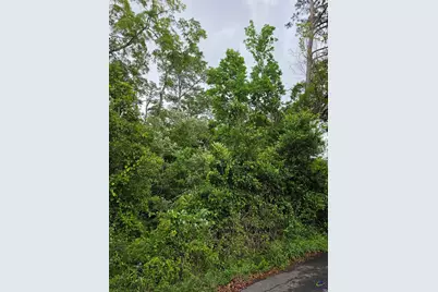 12 Reynolds Street, Hawkinsville, GA 31036 - Photo 2