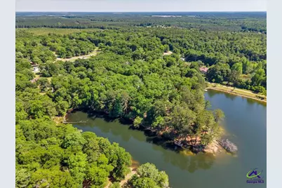 44 Spring Lake Drive, Hawkinsville, GA 31036 - Photo 32