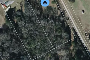 1133 River Rd, Fort Valley, GA 31030 - Photo 1