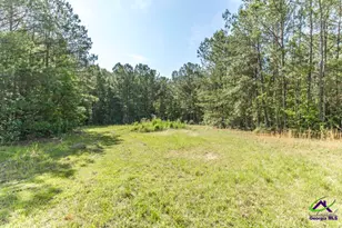 3270 Hamlin Rd, Lizella, GA 31052 - Photo 46