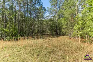 3270 Hamlin Rd, Lizella, GA 31052 - Photo 48