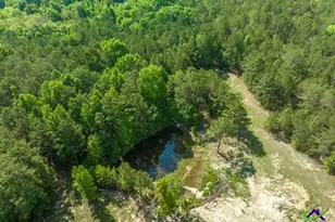 3270 Hamlin Rd, Lizella, GA 31052 - Photo 60