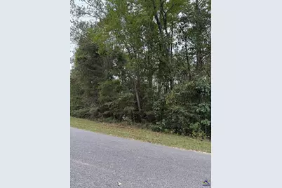 Woodhaven Road, Fort Valley, GA 31030 - Photo 1