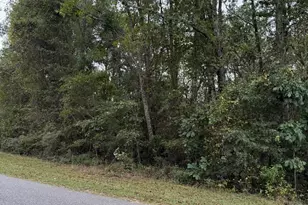Woodhaven Rd, Fort Valley, GA 31030 - Photo 1