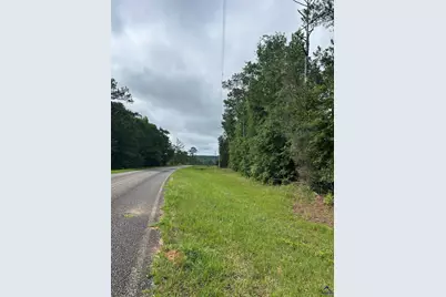 Parcel 1 Everett Wood Road, Oglethorpe, GA 31068 - Photo 8