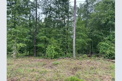 Parcel 1 Everett Wood Road, Oglethorpe, GA 31068 - Photo 6