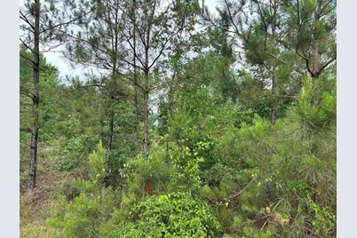 Parcel 1 Everett Wood Road, Oglethorpe, GA 31068 - Photo 2