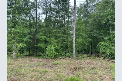 Parcel 2 Everett Wood Road, Oglethorpe, GA 31068 - Photo 4