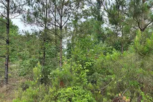 Parcel 2 Everett Wood Rd, Oglethorpe, GA 31068 - Photo 1
