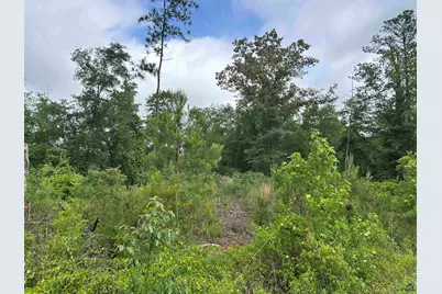 Parcel 2 Everett Wood Road, Oglethorpe, GA 31068 - Photo 2