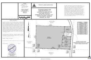 Parcel 3 Everett Wood Rd, Oglethorpe, GA 31068 - Photo 1
