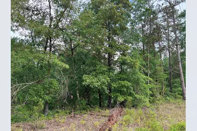 Parcel 3 Everett Wood Road, Oglethorpe, GA 31068 - Photo 6