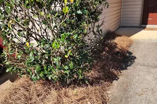 223 Flowing Meadows Dr, Kathleen, GA 31047 - Photo 22