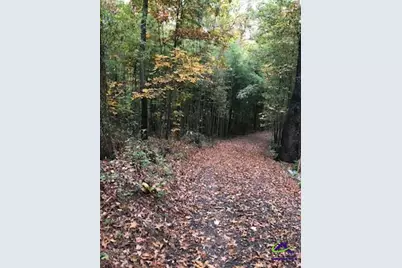 215 Webb Street, Warner Robins, GA 31093 - Photo 6