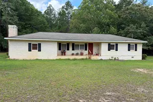 2950 Fountainville Rd, Andersonville, GA 31711 - Photo 4