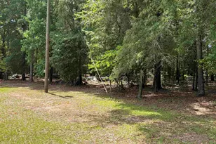 2950 Fountainville Rd, Andersonville, GA 31711 - Photo 26