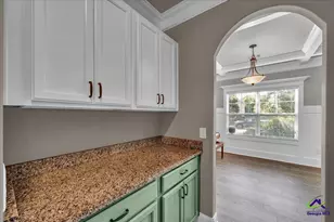 246 Black Hawke Lane, Kathleen, GA 31047 - Photo 26