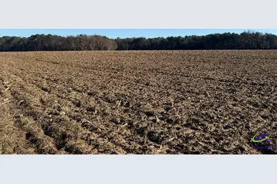 0 Whitfield Road, Elko, GA 31025 - Photo 2