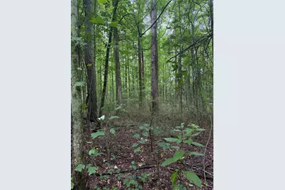 0 Robinson Street, Franklin, GA 30217 - Photo 1
