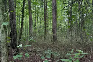 0 Robinson St, Franklin, GA 30217 - Photo 1