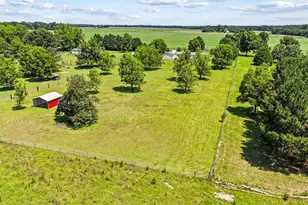 792 Ellis Rd, Elko, GA 31025 - Photo 62