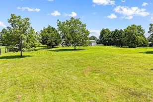 792 Ellis Rd, Elko, GA 31025 - Photo 60