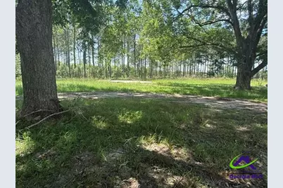 126 Gooseneck Lane, Hawkinsville, GA 31036 - Photo 6