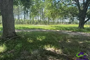 126 Gooseneck Ln, Hawkinsville, GA 31036 - Photo 6